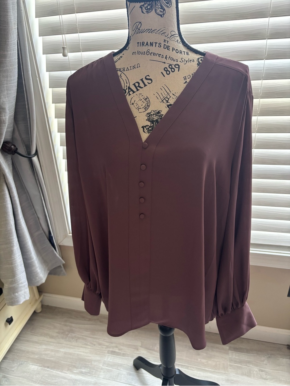 Women’s V-Neck Button Front Blouse in Plum/ mauve nwt Express